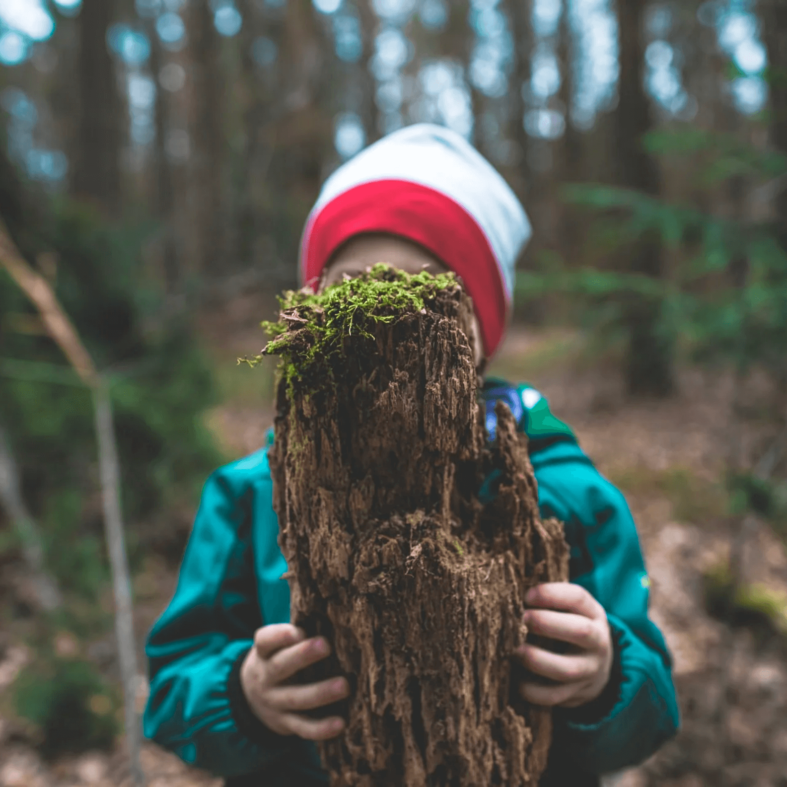 Cómo empezar a hacer senderismo con niños: entrenamiento, rutas y consejos