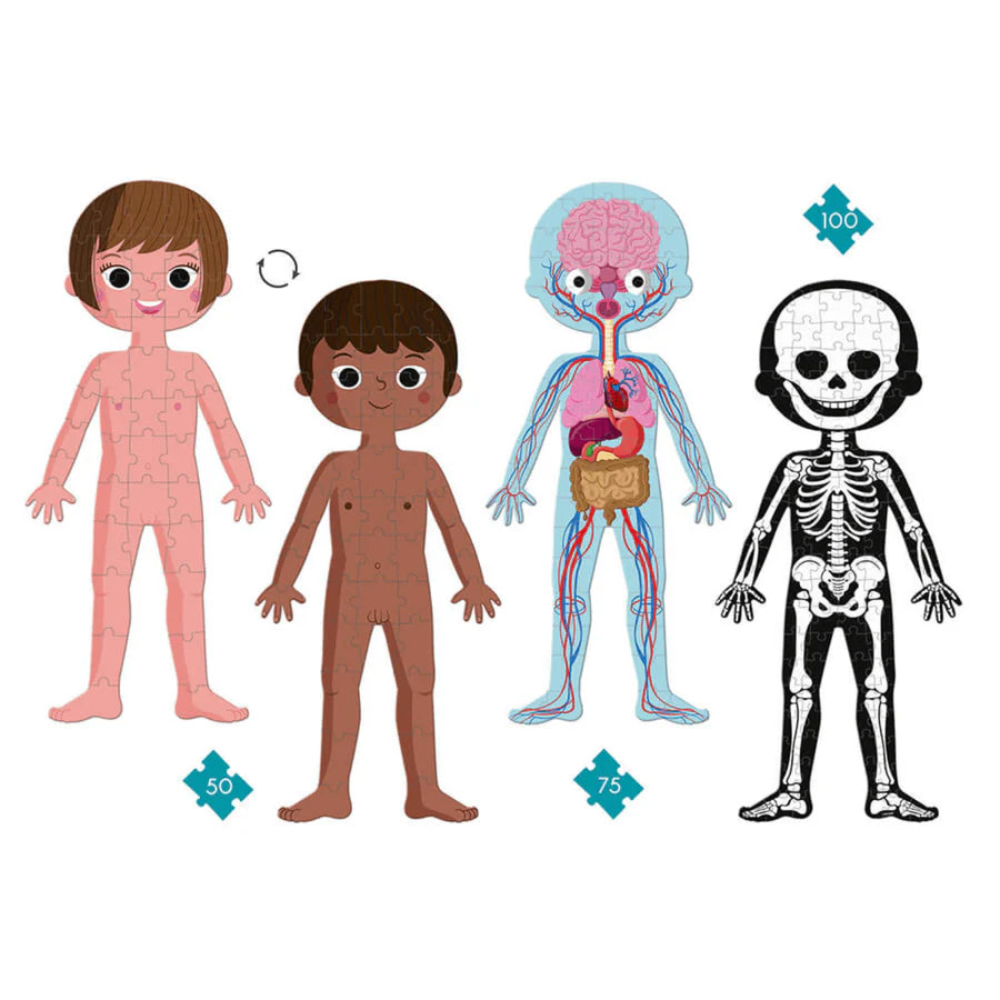 Puzle del cuerpo humano: 6 razones por las que encanta a los niños