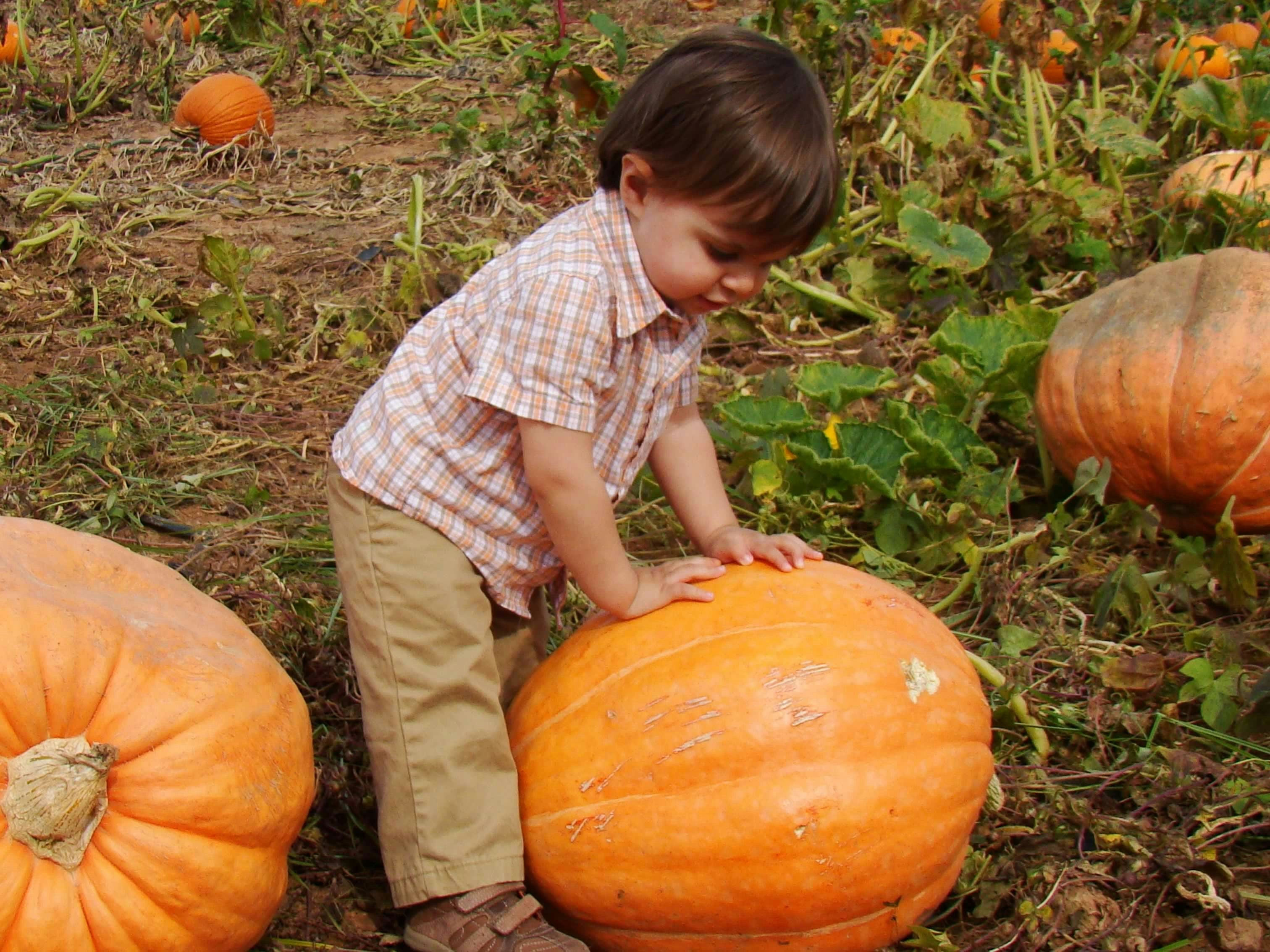 15 recetas de otoño sanas y fáciles para hacer con niños