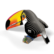 Animals 3D - Tucan